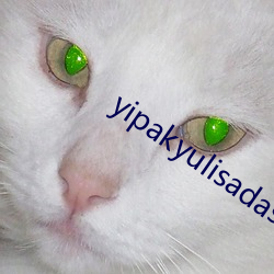 yipakyulisadasi47