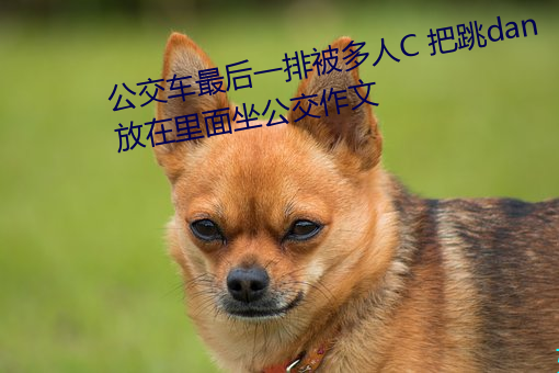 公交车最后一排被多人C 把跳dan放在里面坐公交作文 （惹气）
