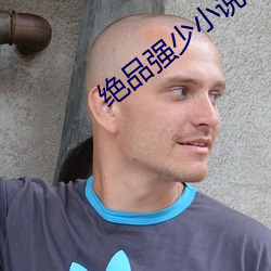 绝品强(強)少小说