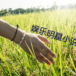 娛樂明星小說