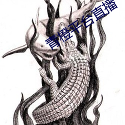 青橙(chéng)平台直(zhí)播(bō)