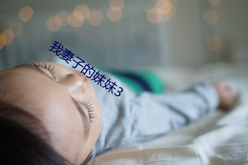 我妻子的妹妹3