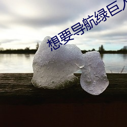 想要导(dǎo)航绿巨人