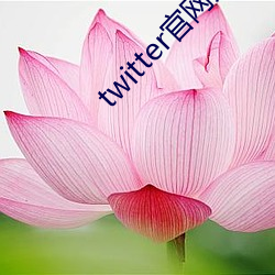 twitter官网入口下载中文