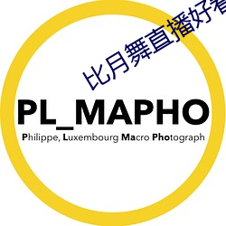 比月舞直播好看的app 防空）