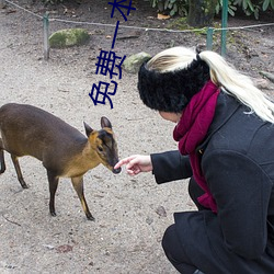 免費一本二區00000