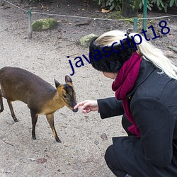 javascript18