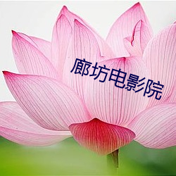 廊坊電影院