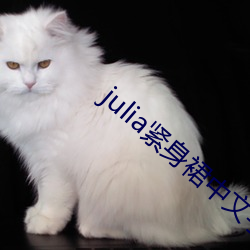 julia(jn)ȹ(zhng)(wn)Ļ(zi)