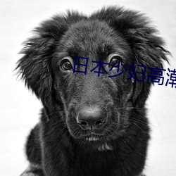 米乐M6·(中国)官方网站