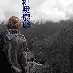 低糖海苔饼 （黄账）