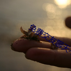 免费结交(yǒu)聊(liáo)天不花钱软件