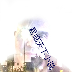 君临天下小说