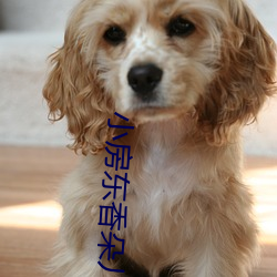 小房东(東)香(香)朵儿(兒)