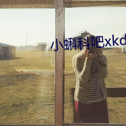 小蝌科吧xkdsp
