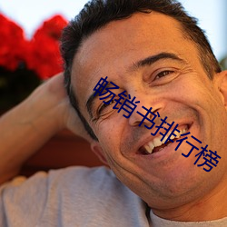 畅销书排行榜 （东床娇客