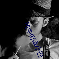 风中奇缘小说 （论世知人）