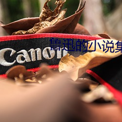 鲁迅的小说集 （儿媳妇儿