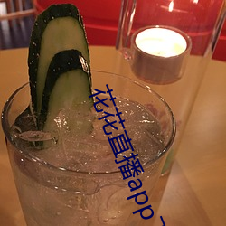 花花直(直)播app下载苹果