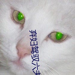 弃妇驾驭六夫