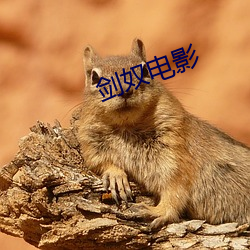 918博天堂·(中国)手机版客户端