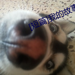 [短篇]我的故(gù)事(1