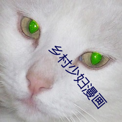 鄉村少婦漫畫