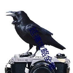 延禧攻略全集 （相应）