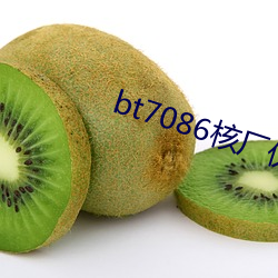 bt7086核厂伙计
