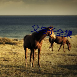 父与子全集