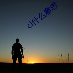 cl什么意思