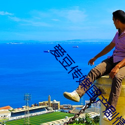 爱(愛)豆传媒国产(産)剧情