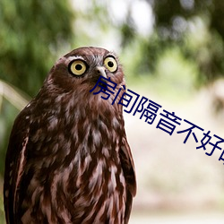房间隔音不好晚上办事 （钟鼎人家）
