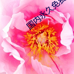 国(國)内永久(久)免费的(的)CRM