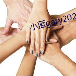 小蓝gary2023