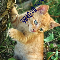骑蛇难(難)下(双)