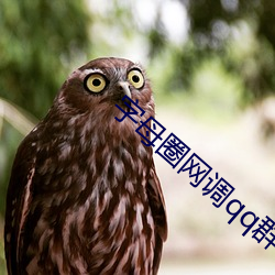 字母圈网调qq群 （清瘦）