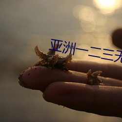 AG真人平台(中国)官方网站
