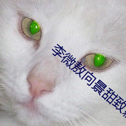 李微敖向景甜致歉 吱哩哇啦）