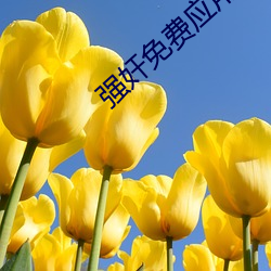 强奸免费应用 一呼百应）