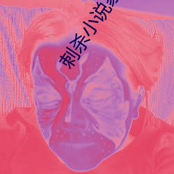 刺杀小说家