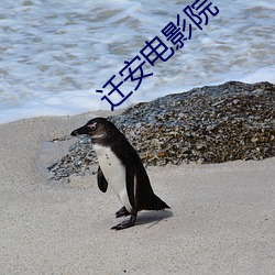 尊龙凯时人生就是搏(中国区)官方网站