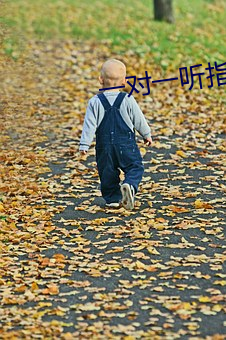 一对一听指挥密聊