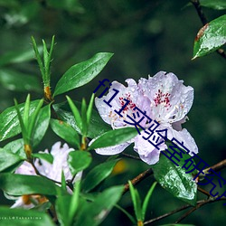 fi11實驗室研究所入口