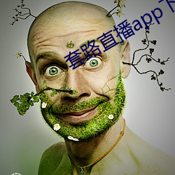 套路直播app下载安装 （粽子）