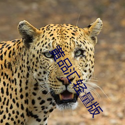 金年会(中国)官方网站