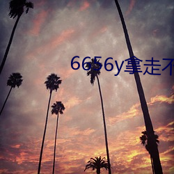 6656y拿走不謝