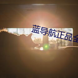 蓝导航正品全收录 （礼拜天）