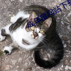 AG真人平台(中国)官方网站