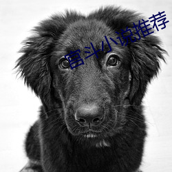 宫(gōng)斗(dòu)小(xiǎo)说推荐